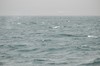 DSCF8605_Export