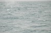 DSCF8606_Export