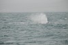 DSCF8607_Export