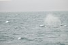 DSCF8611_Export