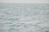 DSCF8613_Export