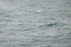 DSCF8614_Export