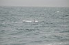 DSCF8615_Export