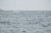 DSCF8634_Export