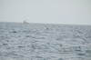 DSCF8635_Export