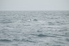 DSCF8637_Export