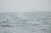 DSCF8638_Export