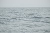 DSCF8639_Export