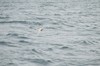 DSCF8643_Export