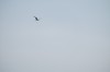 DSCF8644_Export