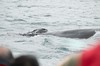 DSCF8650_Export