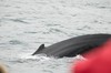 DSCF8651_Export
