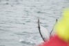DSCF8652_Export