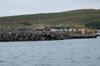 DSCF8662_Export
