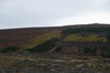 DSCF8679_Export