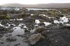 DSCF8695_Export