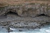 DSCF8725_Export