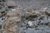 DSCF8727_Export