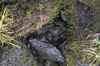 DSCF8740_Export