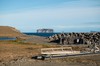 DSCF8816_Export