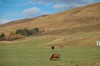 DSCF8848_Export