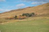 DSCF8849_Export