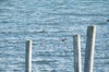 DSCF8856_Export