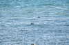 DSCF8857_Export
