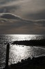 DSCF8860_Export