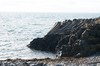 DSCF8866_Export