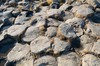 DSCF8884_Export