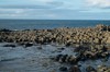 DSCF8888_Export