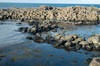 DSCF8895_Export