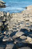 DSCF8896_Export