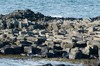 DSCF8899_Export