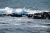 DSCF8905_Export
