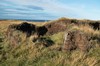 DSCF8917_Export