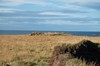 DSCF8919_Export