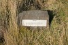 DSCF8920_Export