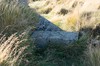 DSCF8922_Export