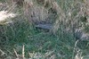DSCF8924_Export
