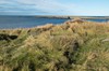 DSCF8927_Export