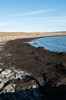 DSCF8929_Export