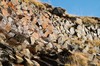 DSCF8937_Export