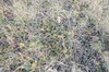DSCF8974_Export