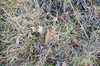 DSCF8975_Export