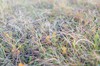 DSCF8976_Export