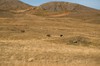 DSCF8977_Export