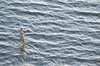 DSCF8993_Export