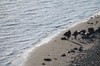 DSCF8999_Export